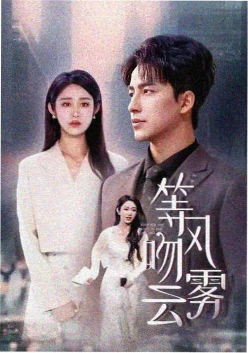 悬疑剧集长夜将尽封面